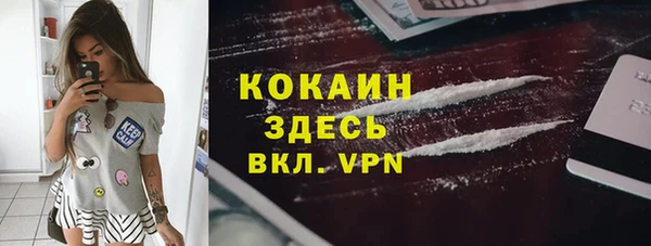apvp Алексин