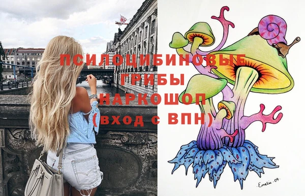 apvp Алексин